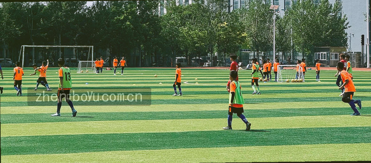 沉稳对比 温和取舍 理性观察